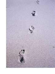 footprints