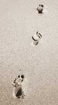 footprints