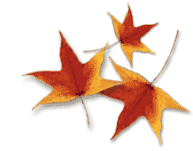 Photo of fall colored leaves Photo of fall colored leaves